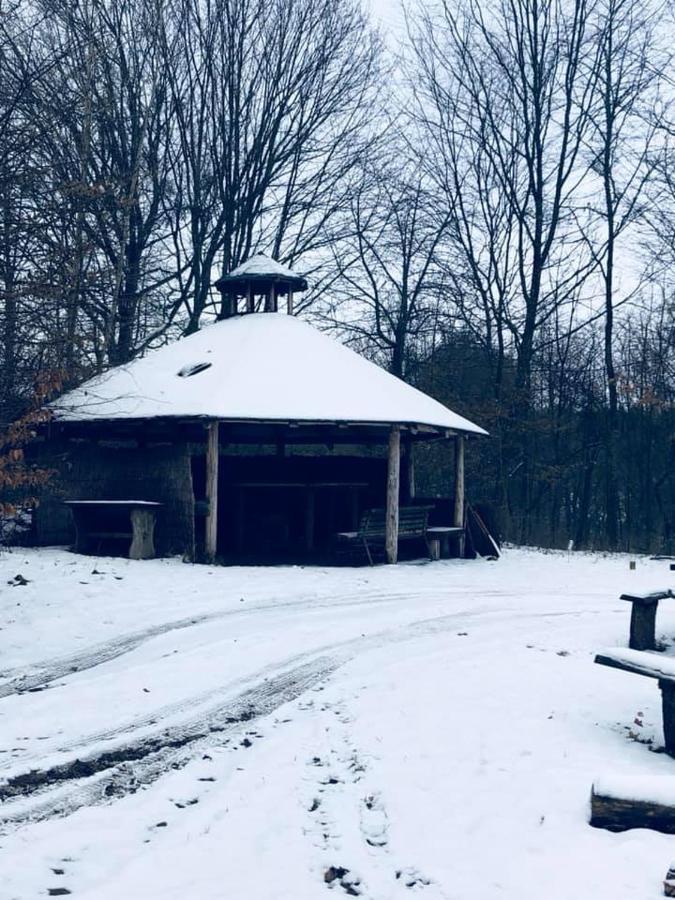 Pokoje Cztery Pory Roku Mikołajki Eksteriør billede